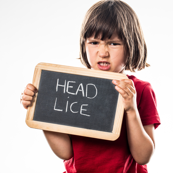 Lice Treatment Innovation Driven by Wet Combing